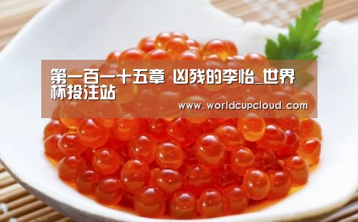 2026世界杯买球官网