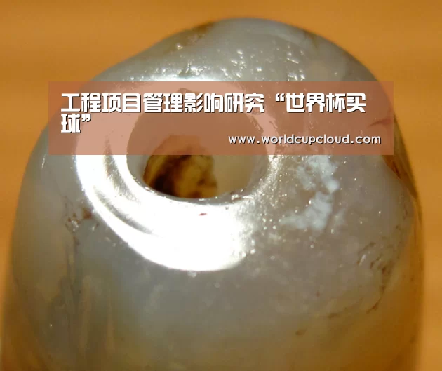 工程项目管理影响研究“世界杯买球”(图3) 世界杯买球
