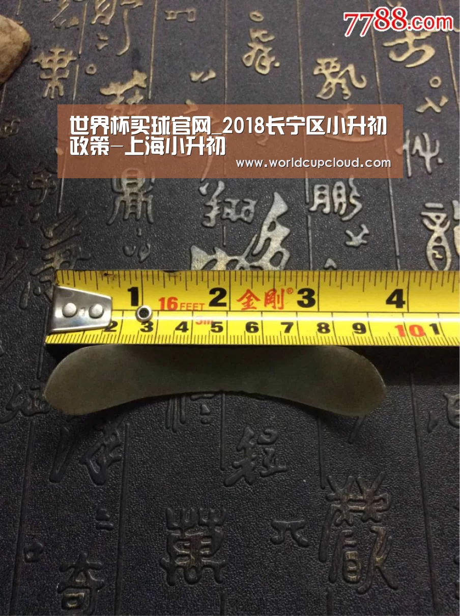 世界杯买球官网_2018长宁区小升初政策-上海小升初(图3) 2026世界杯买球官网