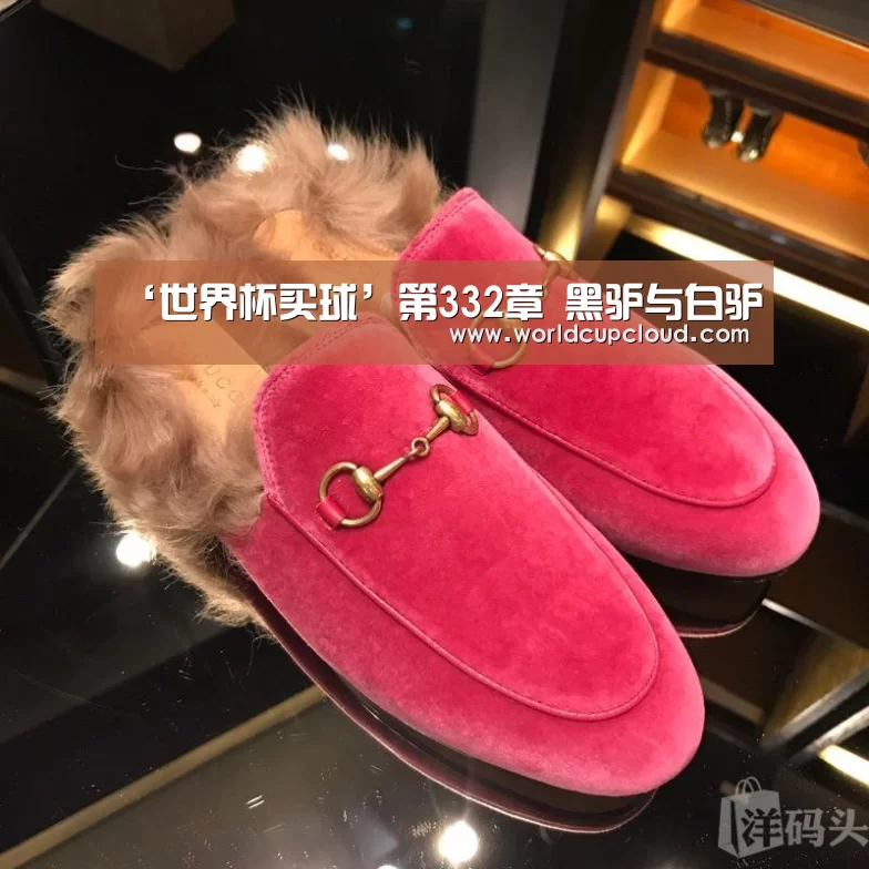 ‘世界杯买球’第332章 黑驴与白驴(图4) 2026世界杯买球官网