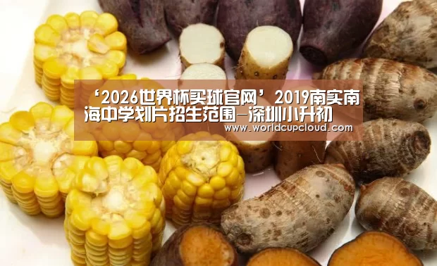 世界杯投注站